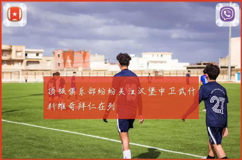 顶级俱乐部纷纷关注汉堡中卫武什科维奇拜仁在列
