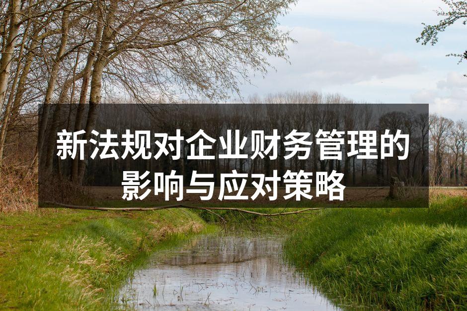新法规对企业财务管理的影响与应对策略