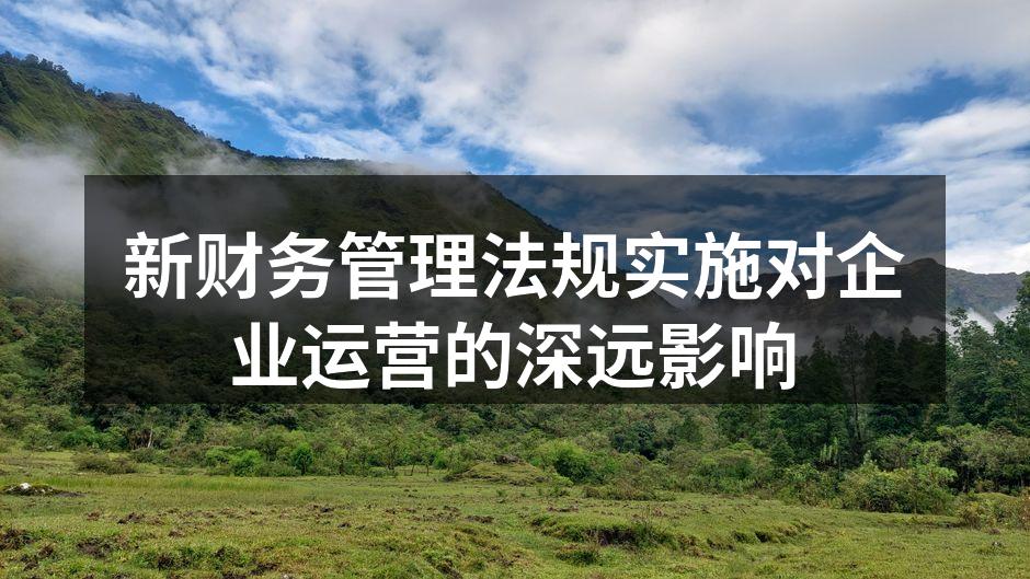 新财务管理法规实施对企业运营的深远影响